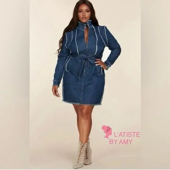 L'Atiste Plus Size Dress Frayed Trim Denim - Picture 2 of 11